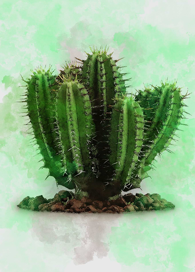 Cactus Watercolor