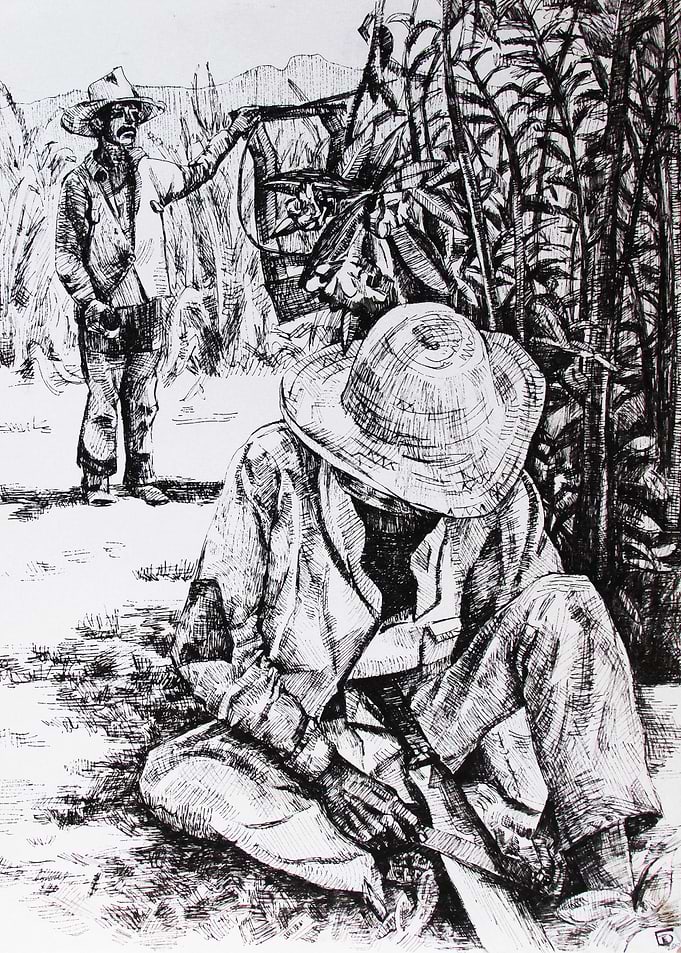 Sugar cane cutting