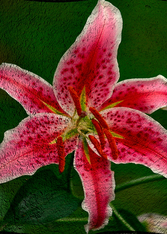 Textured flower abstract