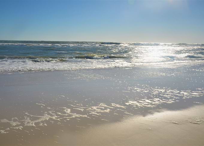 Sunny Oceanside