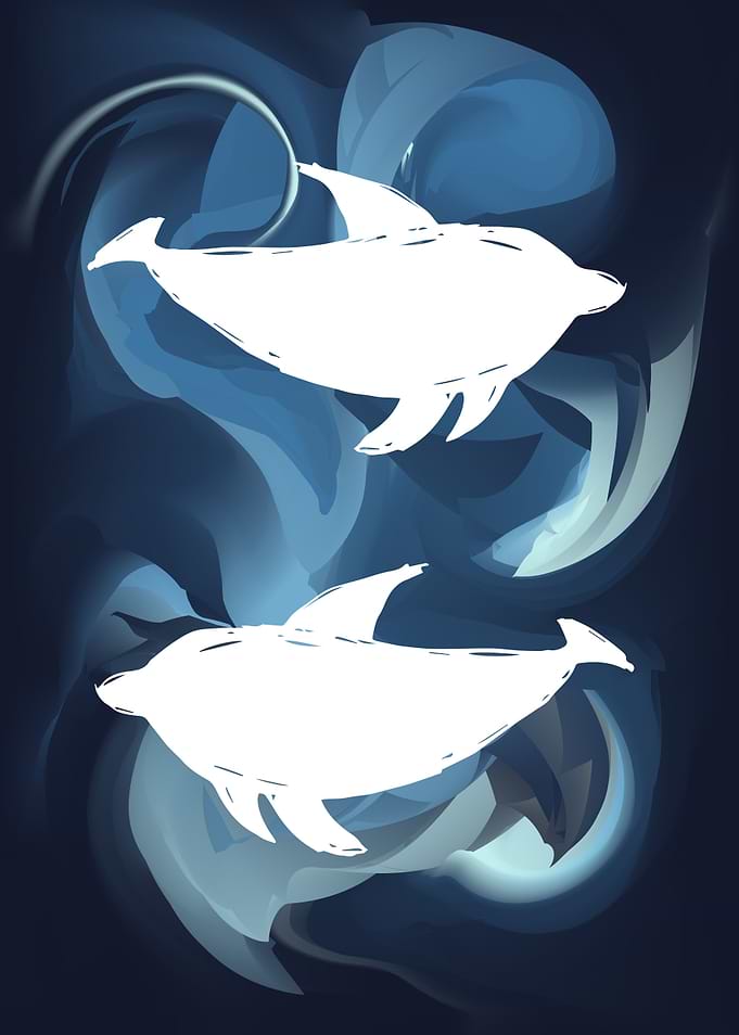 Dolphin Animal 3