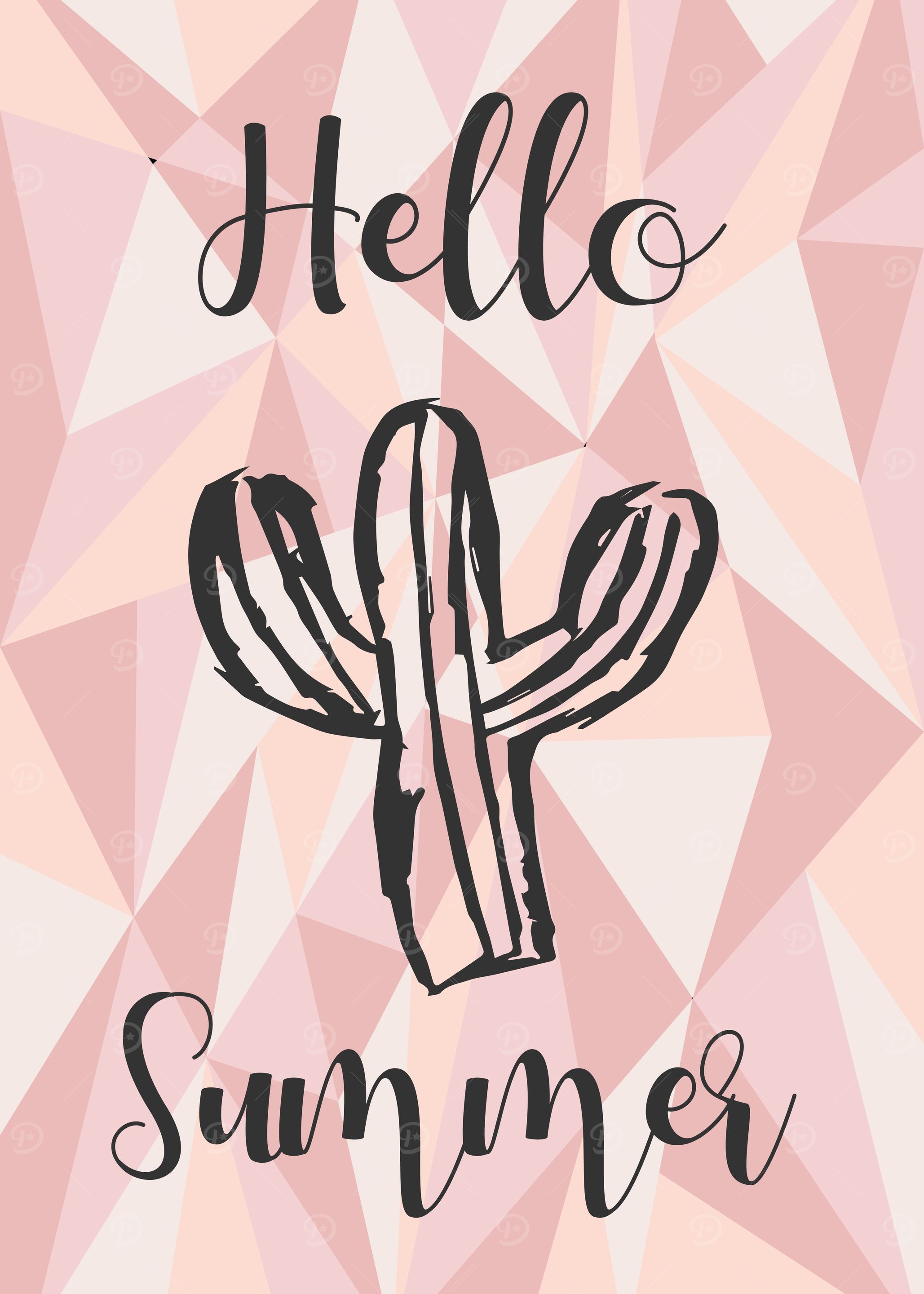 Cactus Summer 1