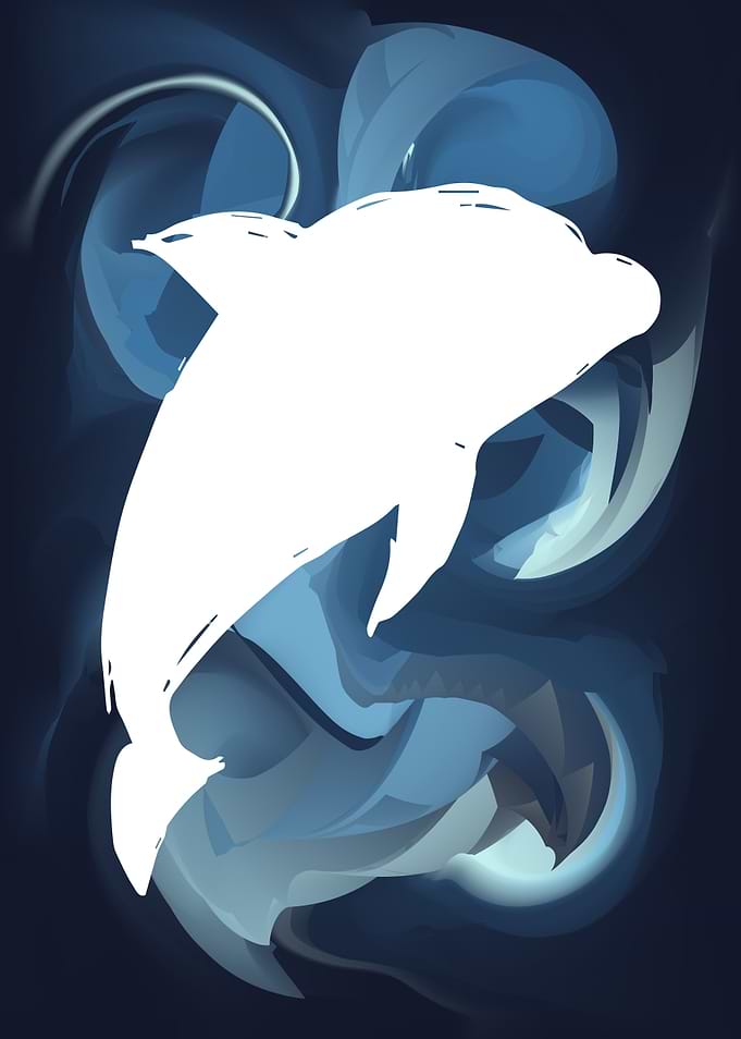 Dolphin Animal 14