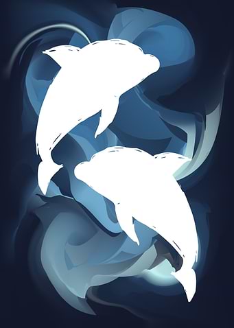 Dolphin Animal 2