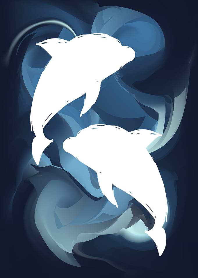 Dolphin Animal 2