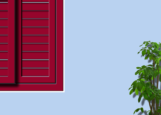 Window With Plant