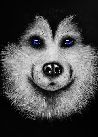 huskey