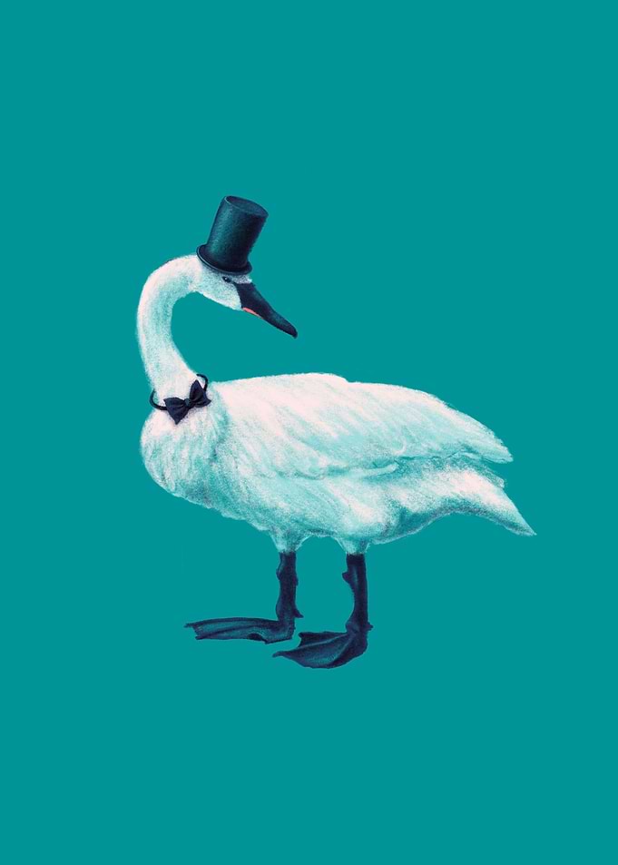 Funny Swan With Style