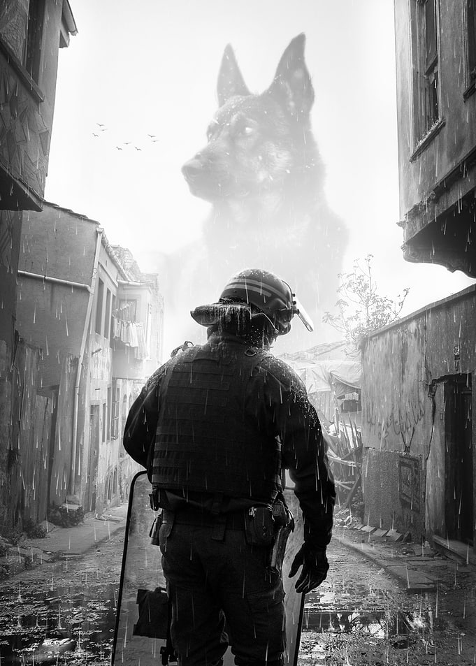 dog companion