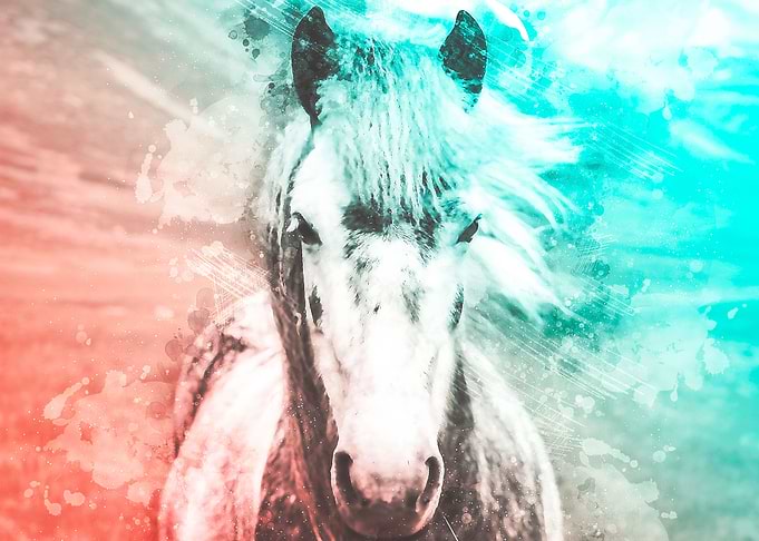 Horse Watercolor