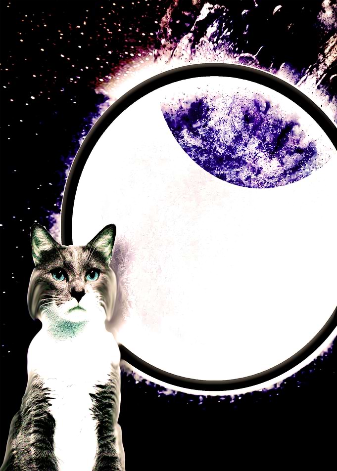 the galactic cat