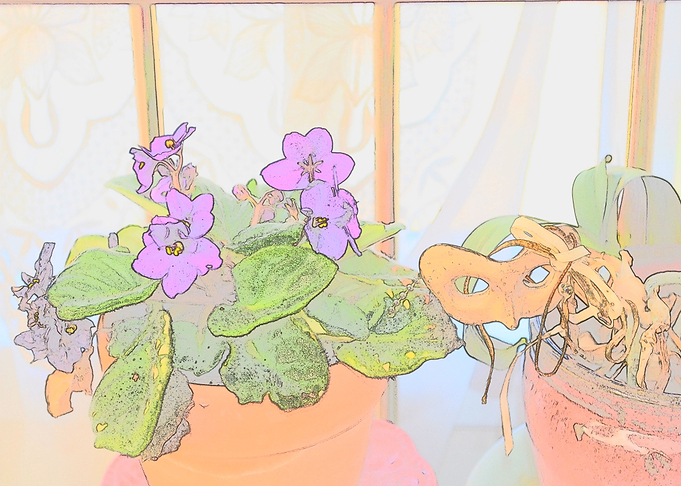 Fairies Flowers