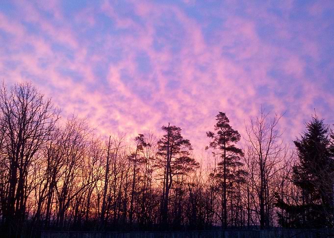 Bloomfield Sunrise