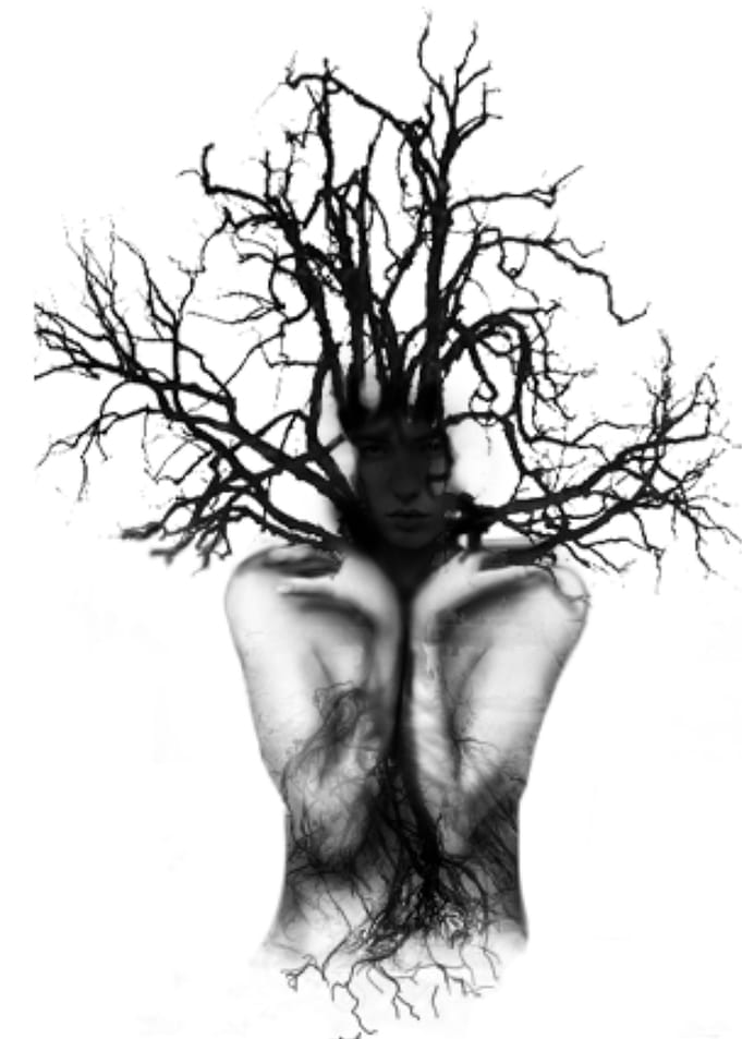 quintessence of nature 1