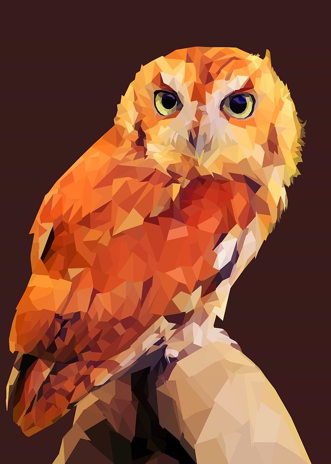 GOLD OWL