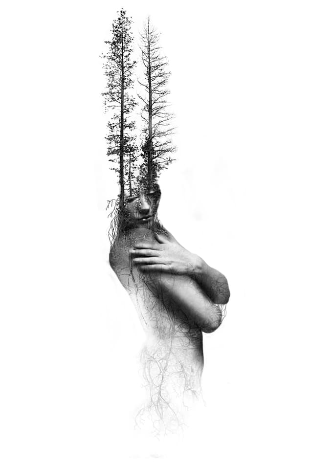 quintesention of nature 3