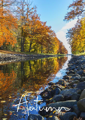 Autumn