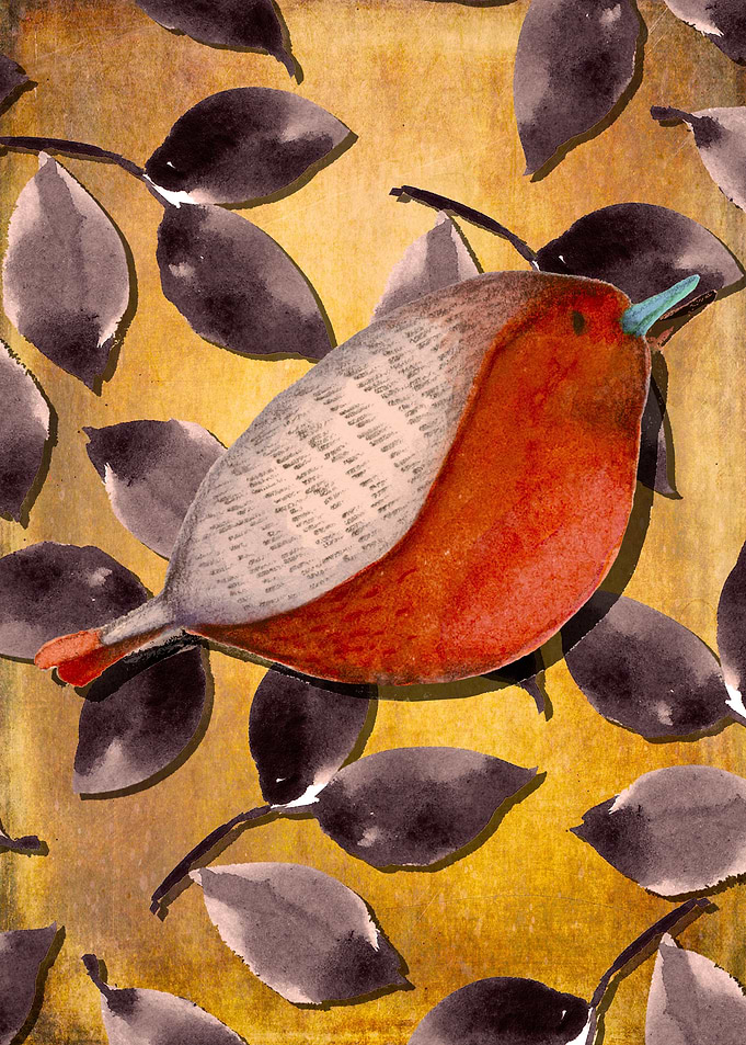 Robin