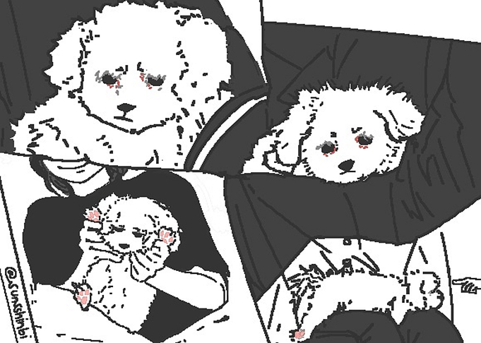 Mood Pup