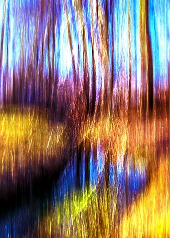 Swabian landscape