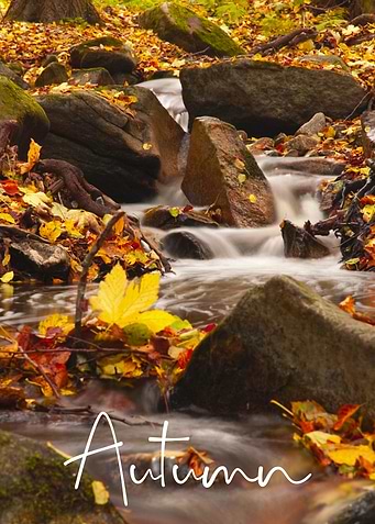 Autumn