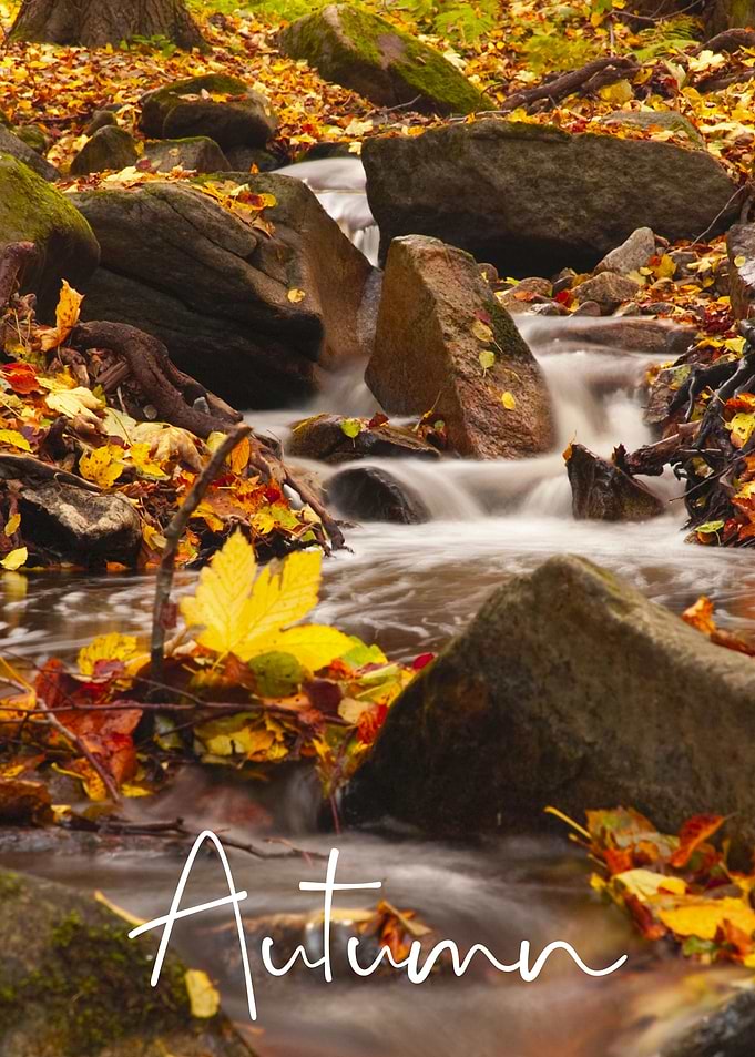 Autumn
