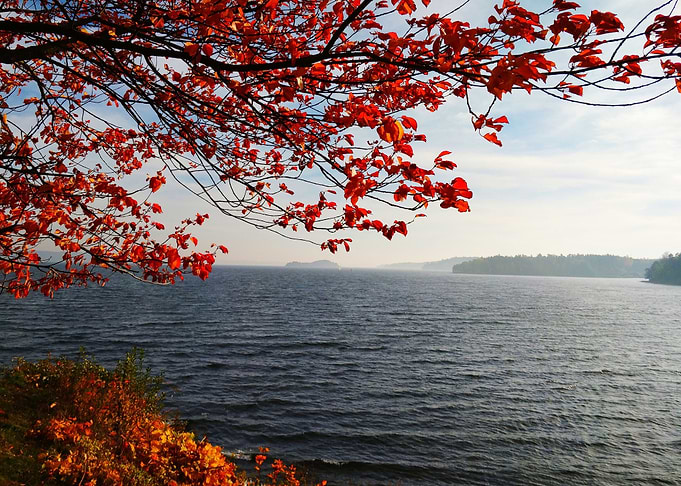 Autumn Time