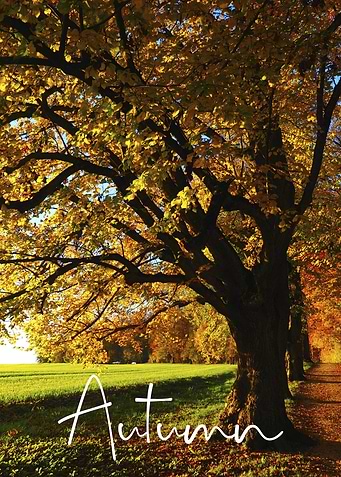 Autumn