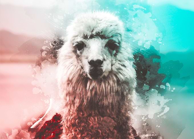 Llama Watercolor