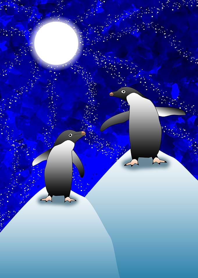 Arctic Moon