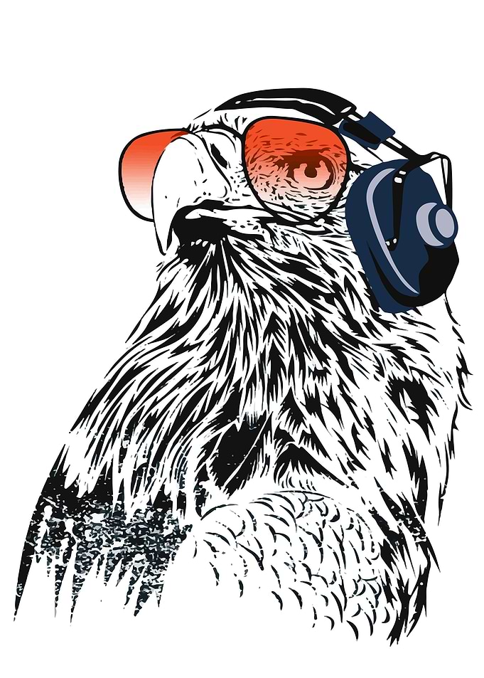 perfect piliot eagle