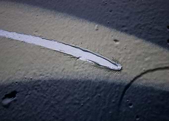 Cut and Drip