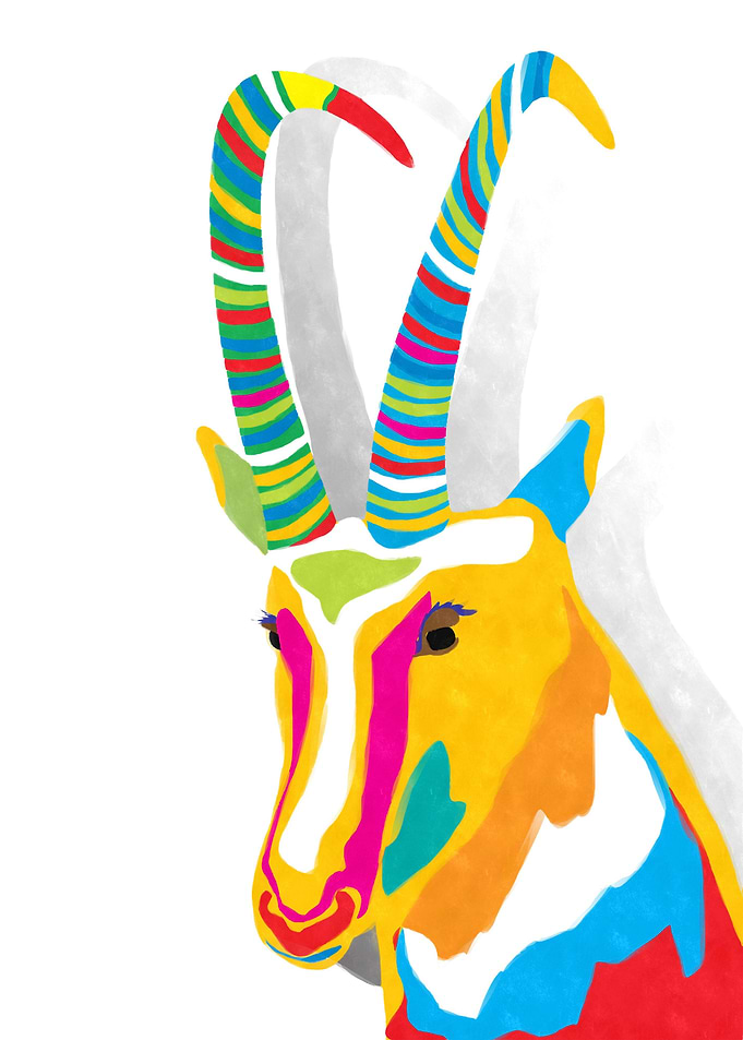 Funky goat