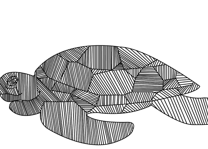 tortuga