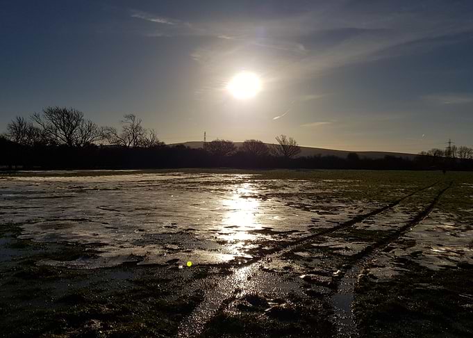 Sussex Morning