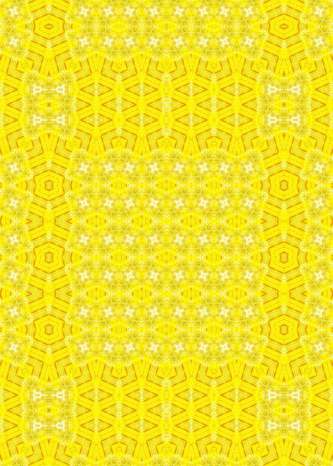 Mimosa