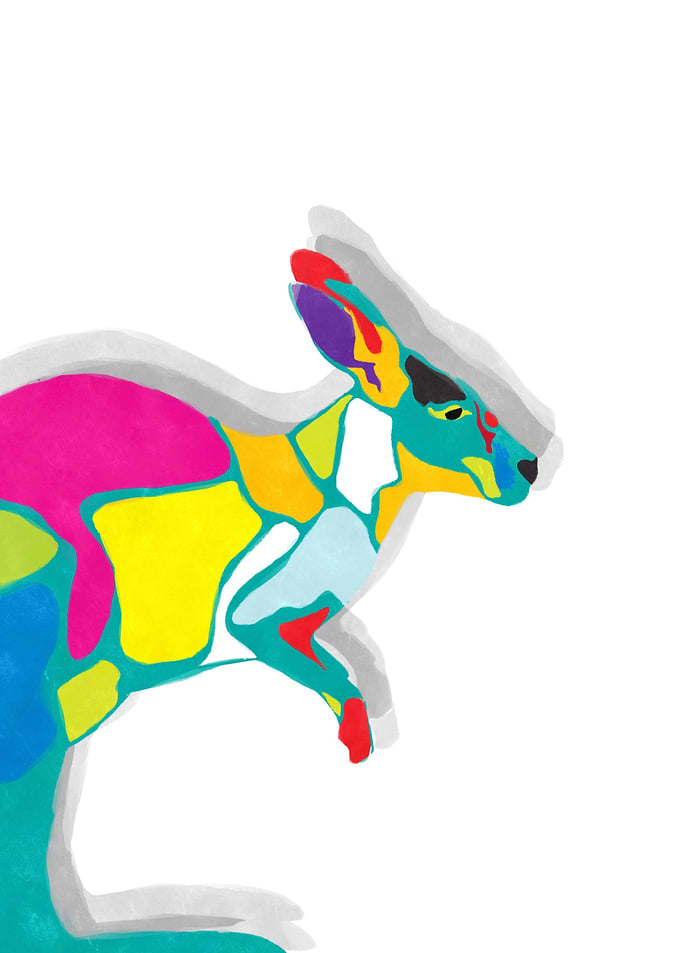 Funky Kangaroo