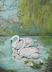 Aesthetic swan Lake