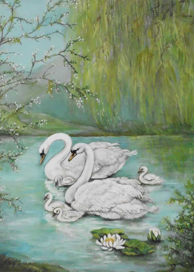Aesthetic swan Lake