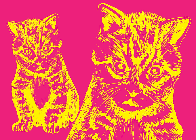CAT ILLUSTRATION