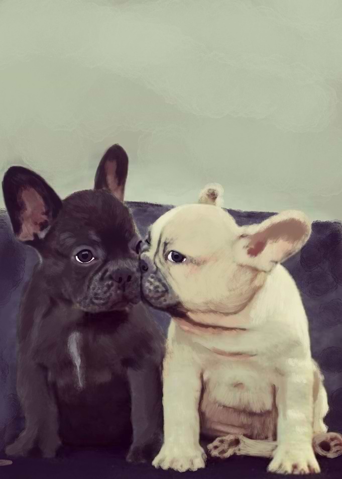 Frenchie kiss