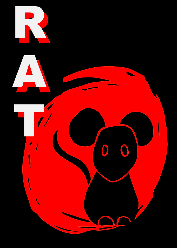 Rat Animal Japan 5