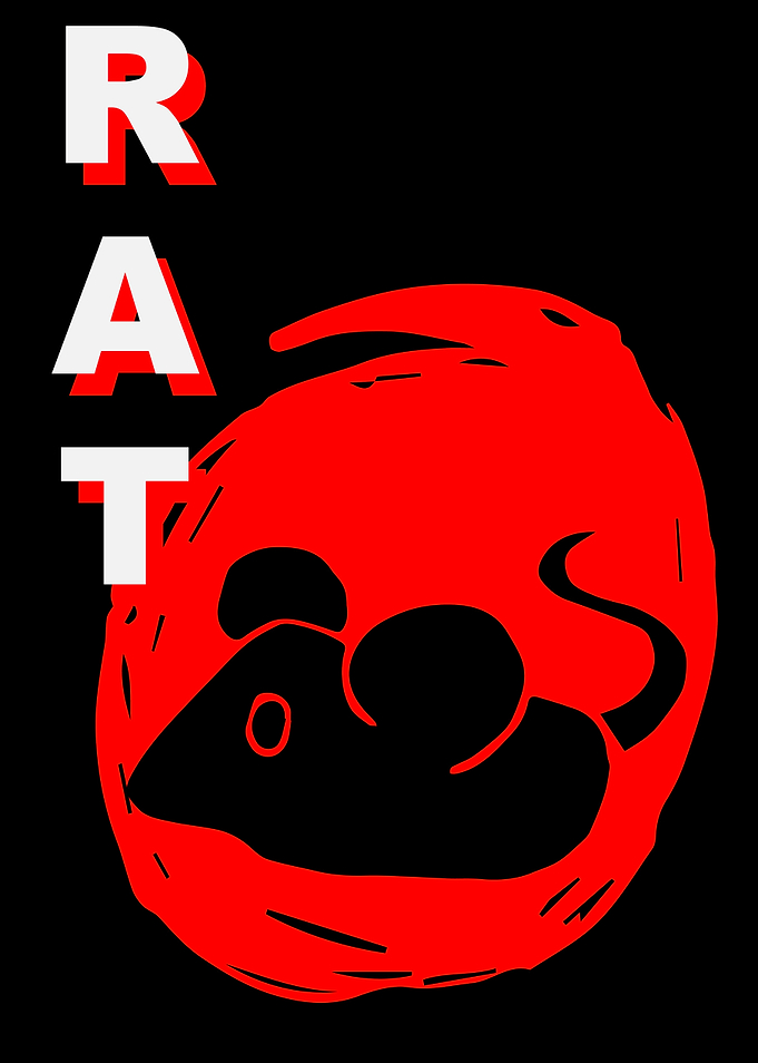 Rat Animal Japan 4