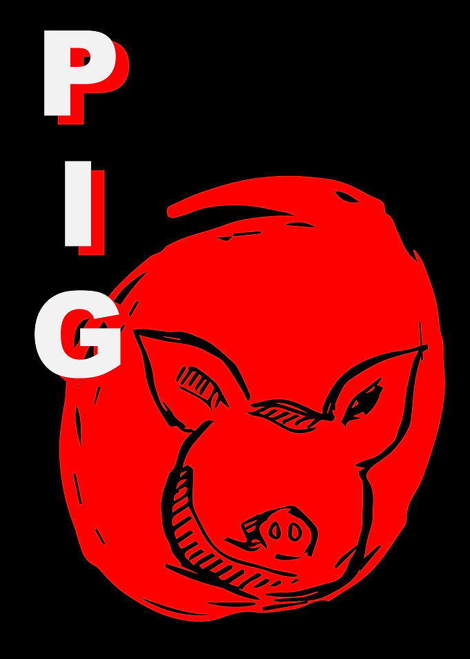 Pig Animal Japan 6