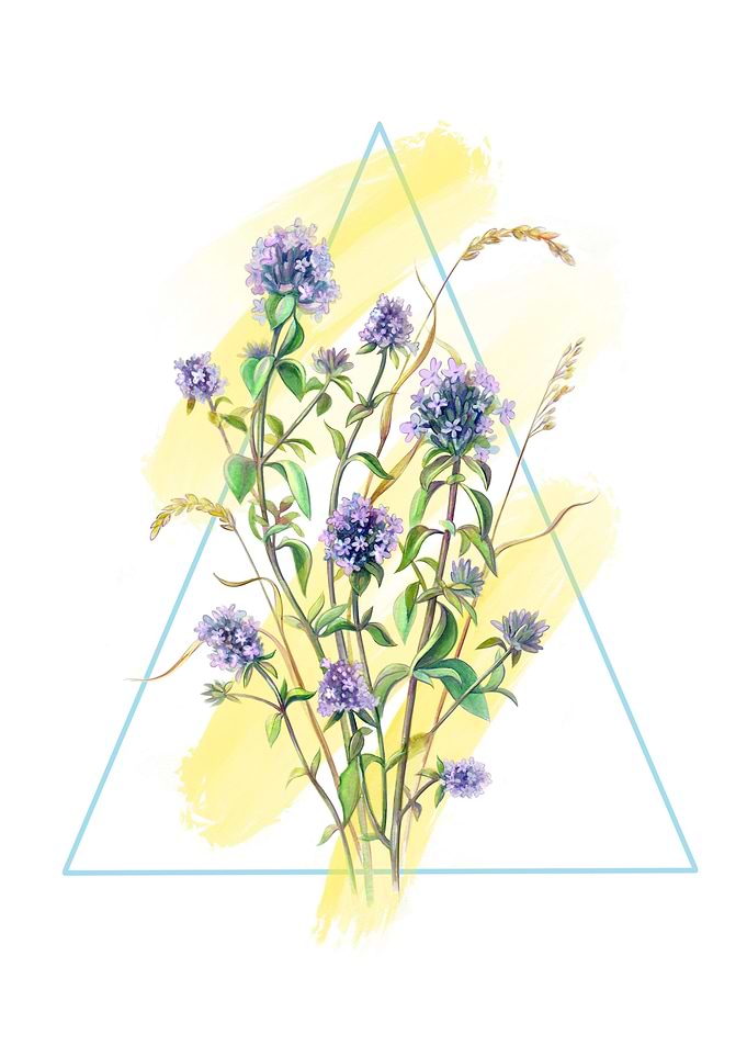 Watercolor Flowers