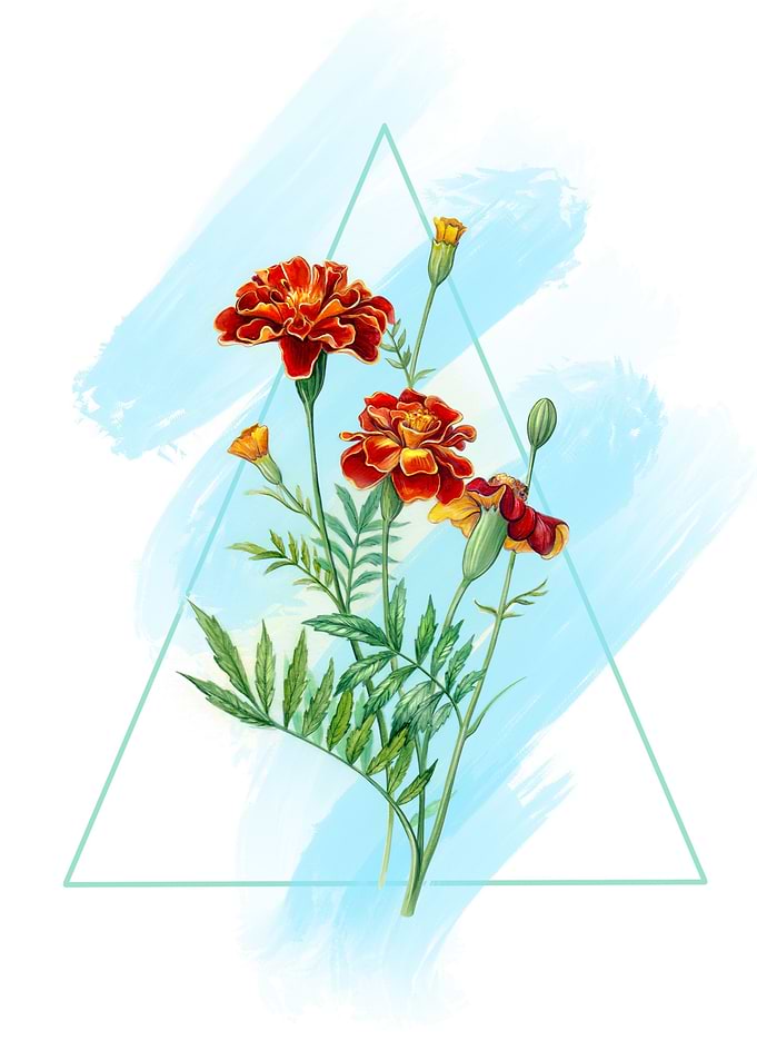 Watercolor Flowers French