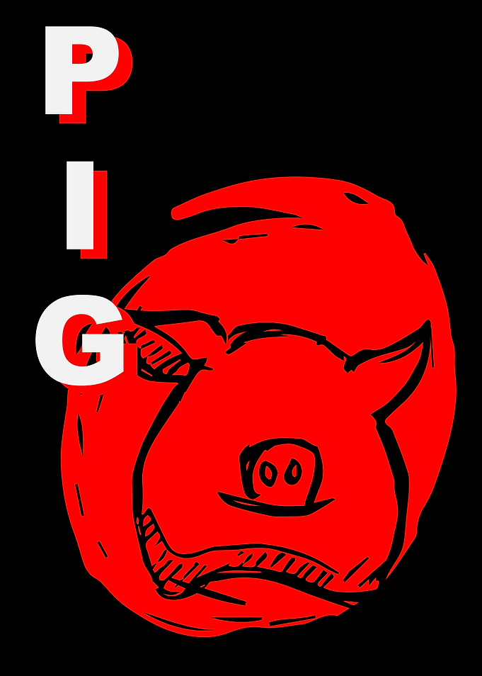 Pig Animal Japan 7