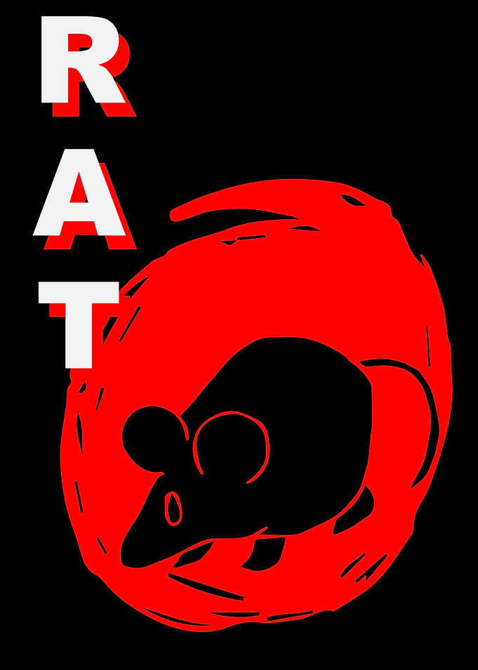 Rat Animal Japan 7