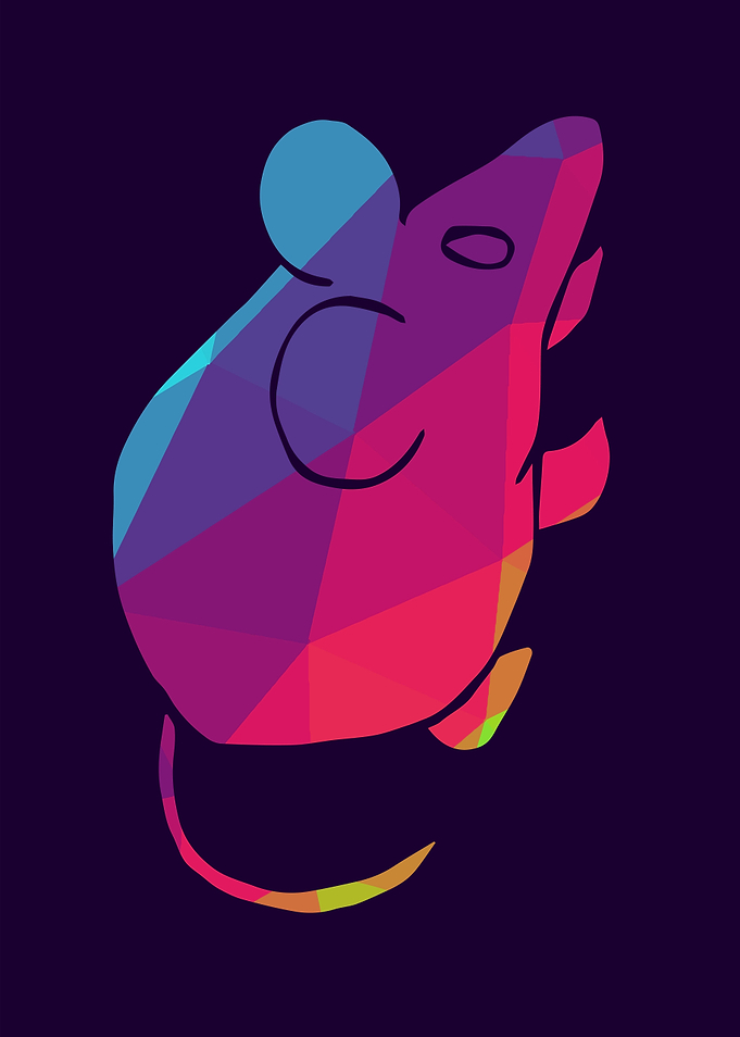 Rat Animal Rainbow 6