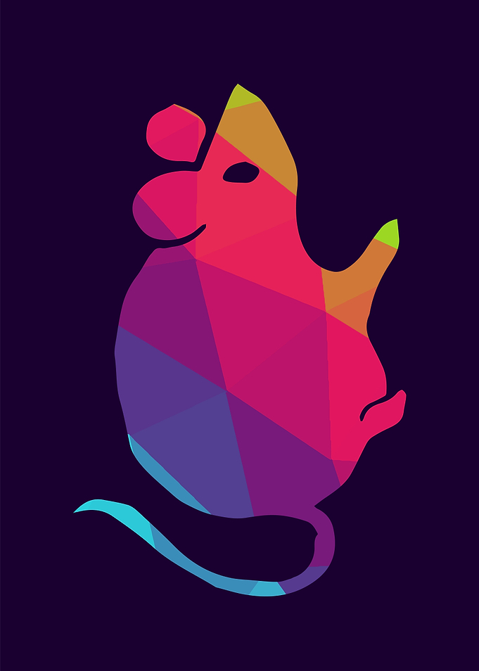 Rat Animal Rainbow 2
